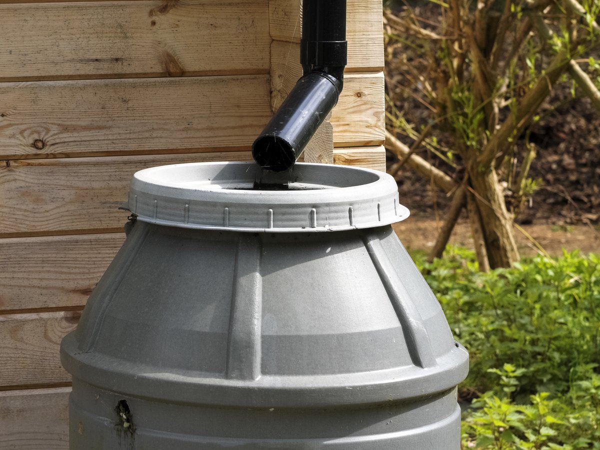 Récupérateur d'eau de pluie