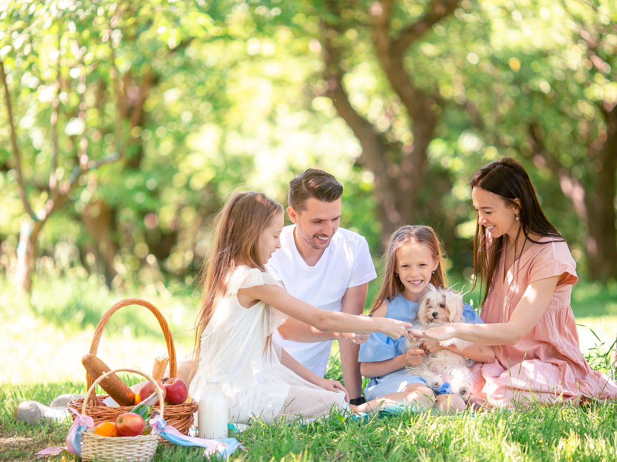 article de blog pique nique ZD