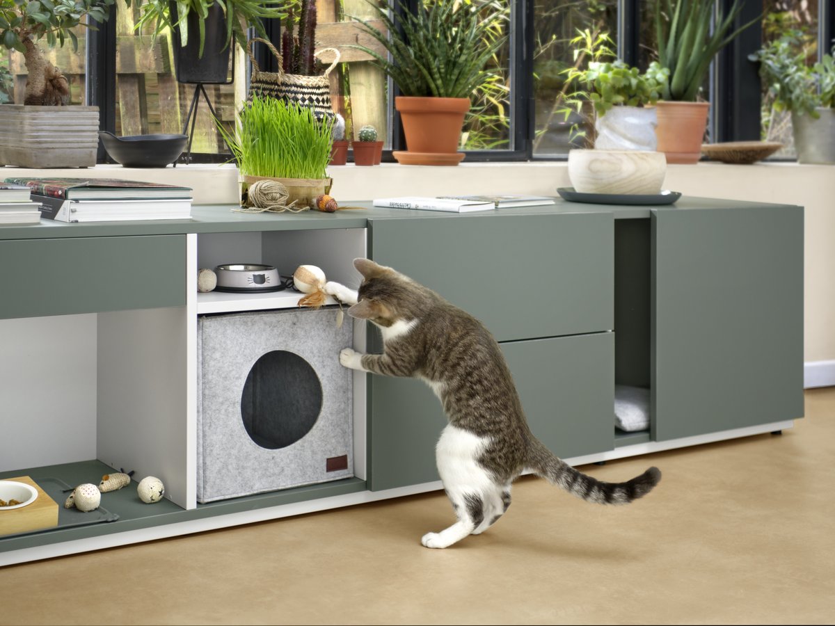 Meuble Pour Chat Design Et Sur Mesure Schmidt