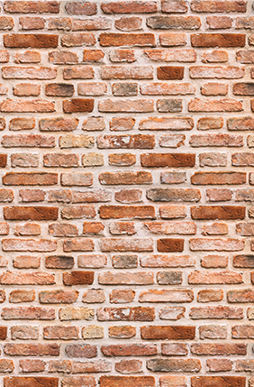 Panneau de crédence à impression numérique - Coron