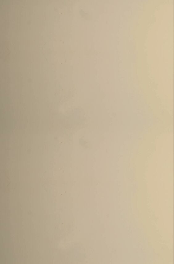 Façade miroir et verre - Miroir bronze