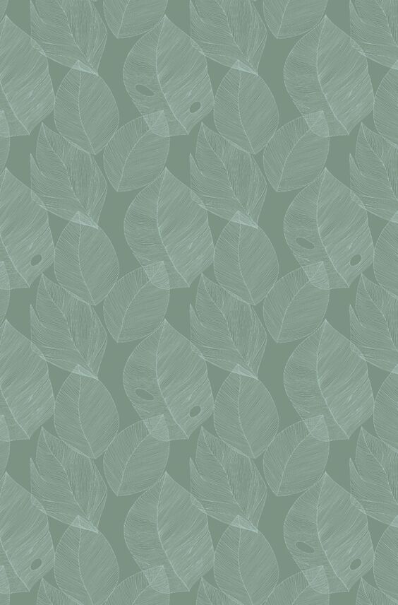 Panneau de crédence Pimp - Diaphane