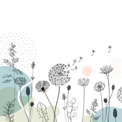 Wild Flower