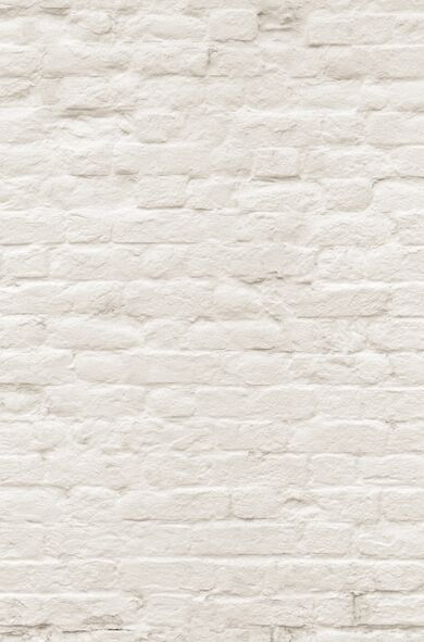 Briques blanches