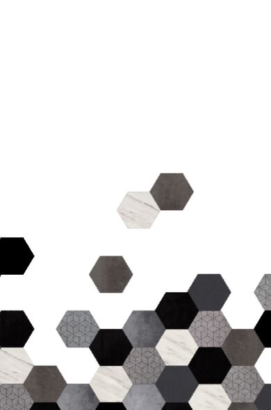 Hexa Mix 2