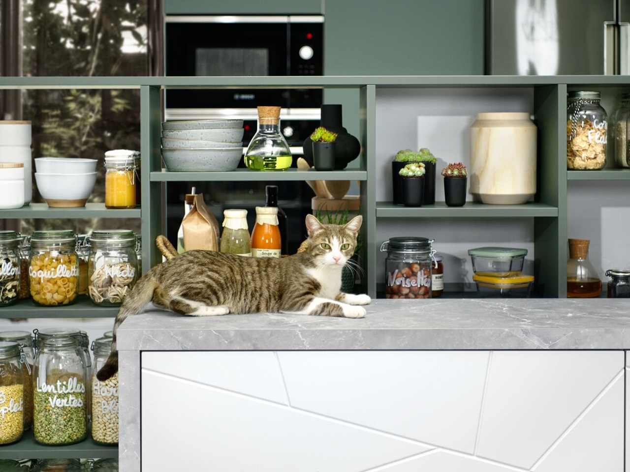 Ideal worktop for being watched by your cat