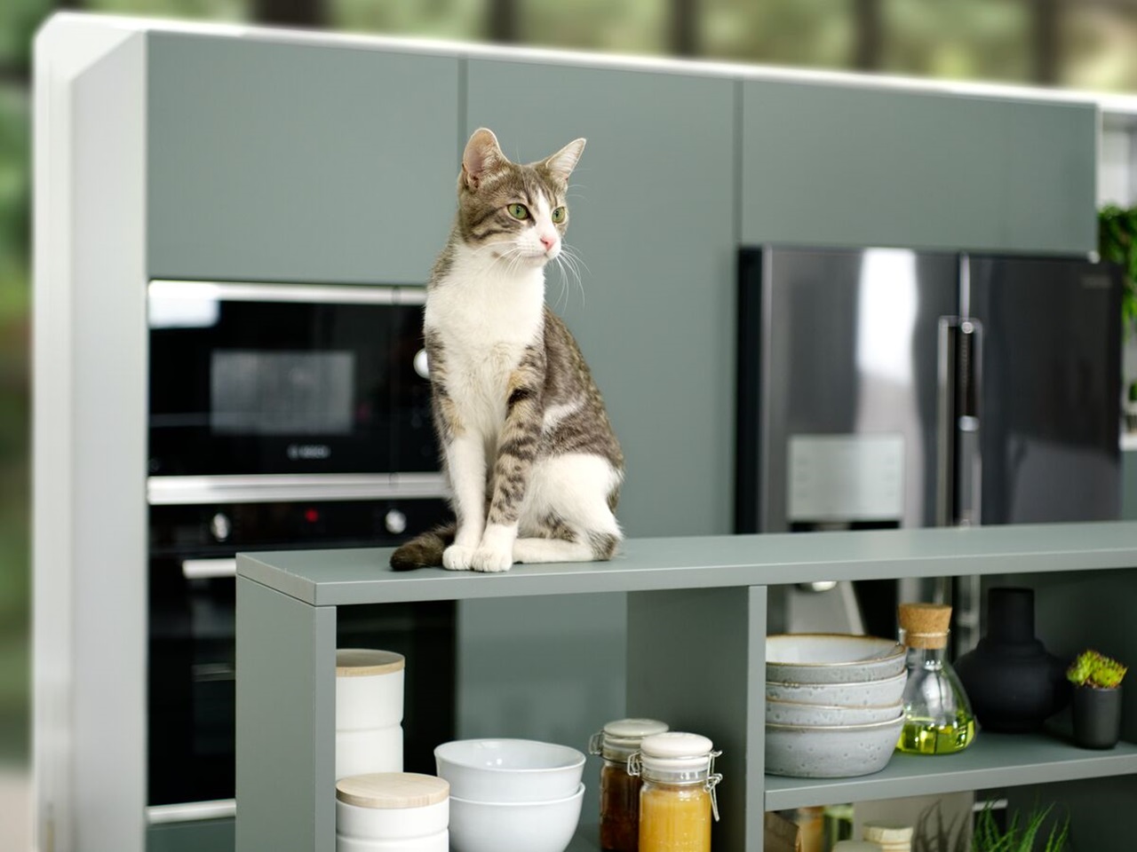 Hoge legplank voor de keuken, ideaal voor de kat!
