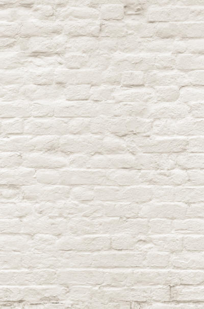 Panneau de crédence Pimp - Briques blanches